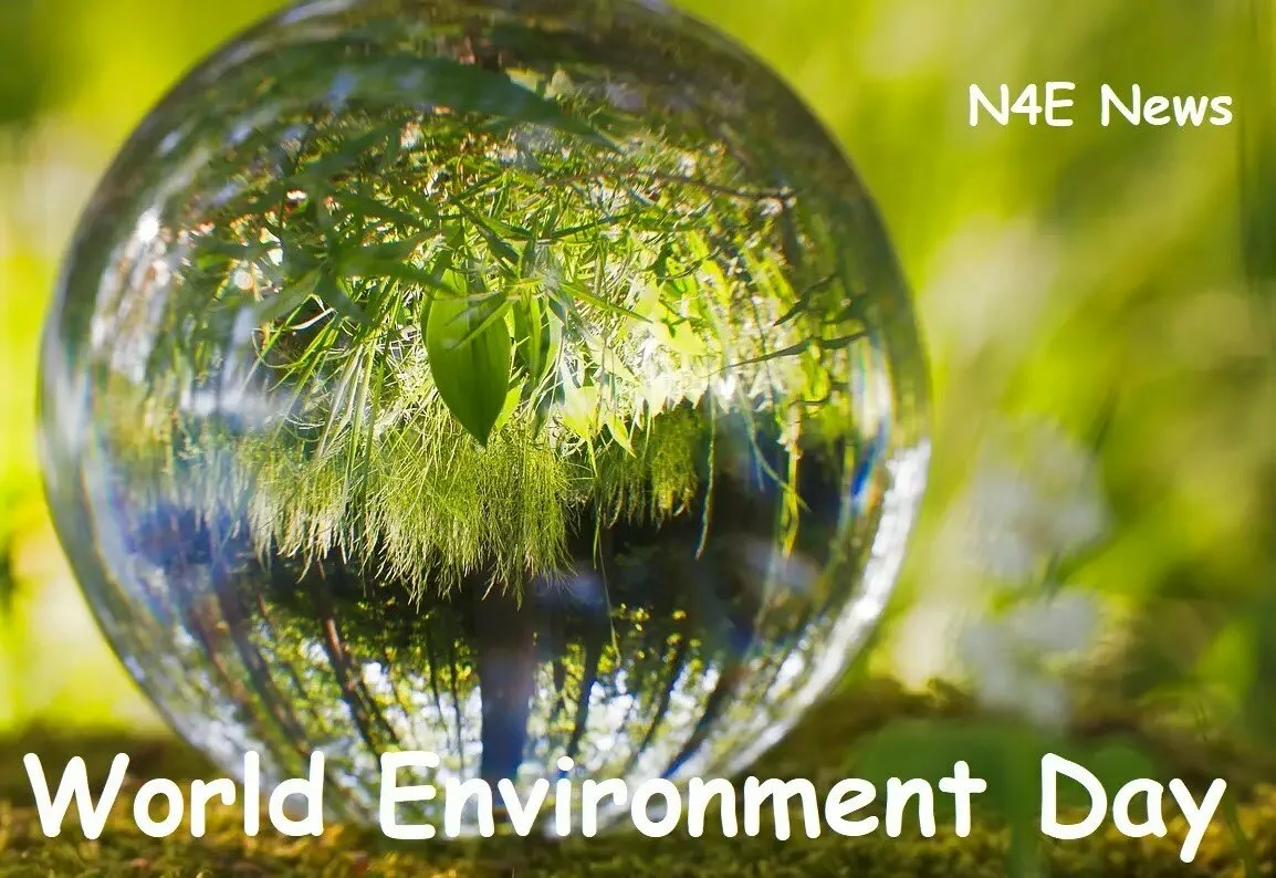 Let Go Celebrate The World Environment Day 2020