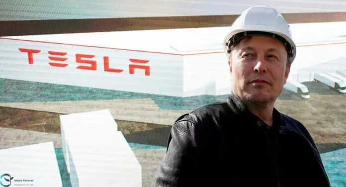 Tesla Ceo Musk Expects At Least 'temporary Relief' For Evs In India In Terms Of Import Duties