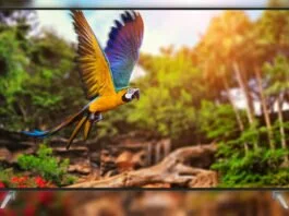 After witnessing large success with the earlier tv launches, itel on Thursday unveiled two new 4K Android TVs below its G sequence -- G4334IE (43-inch) and G5534IE (55-inch) -- in India at Rs 32,999 and Rs 46,999, respectively.
