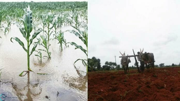 The south-west monsoon gathered tempo in the previous few days, due to which cumulative all-India rainfall was simply 2% beneath regular as on July 28, in contrast with 8% beneath regular every week again.