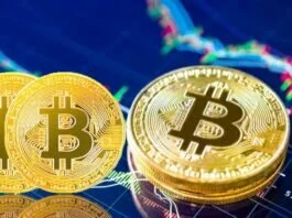 As the worldwide cryptocurrency market hit $2 trillion for the primary time in almost three months, the trade gamers on Friday stated the surge available in the market cap signifies a wider acceptance of crypto property throughout the globe, together with in India.