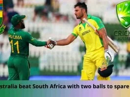 Australia defeated South Africa by 5 wickets within the first match of the Super 12 stage of the continued T20 World Cup on the Sheikh