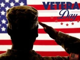 Veterans Day is well known each Nov. 11 with parades, ceremonies, live shows, speeches and extra occasions throughout the United States
