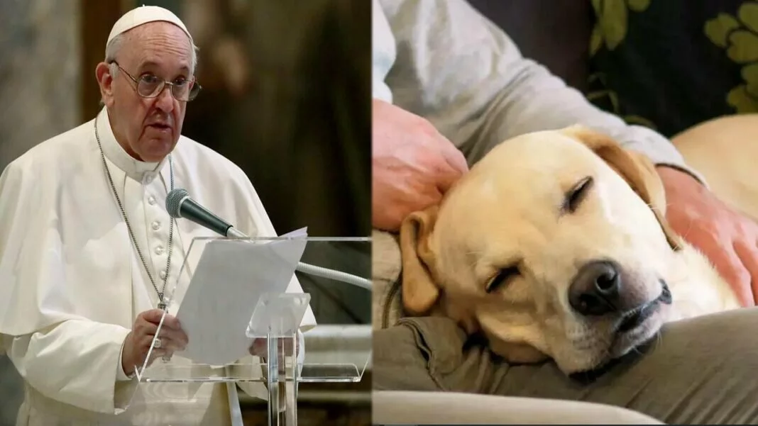 Pope Says 'Selfish': Couples Who Raise Pets Instead Of kids